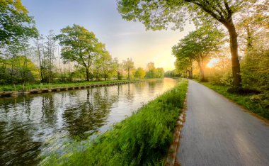 Titreyen bir kanalın yanından geçen sakin bir patika büyülü altın saat içinde canlı ağaçlar tarafından çerçevelenir.