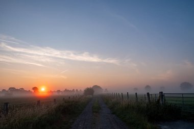 Sakin bir gün doğumu sisli kırsal bir yolu hafifçe aydınlatıyor. Huzurlu ve huzurlu görüntüleri yakalamak için mükemmel bir yol.