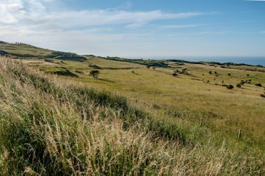 Cap Blanc-Nez, Escalles, Pas-de-Calais, Hauts-de-France, Fransa, 29 Temmuz 2025, açık mavi gökyüzü altında yuvarlanan yeşil tepelerin çarpıcı güzellikteki manzarası, doğanın derin sükunetini gözler önüne seriyor.
