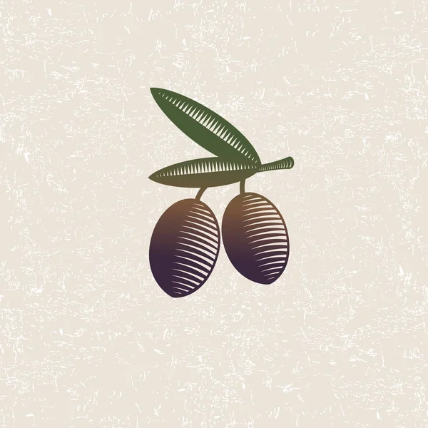 Illustration Olive Olives Mûres Feuilles Sur Fond Usé Gravure Style — Image vectorielle