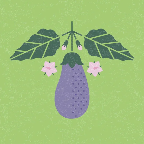 Eggplant Illustration Eggplant Leaves Flowers Shabby Background Symmetrical Flat Composition — Stock Vector