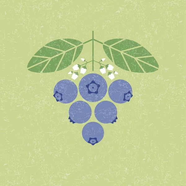 蓝莓插图 蓝莓的叶子和花朵在破旧的背景 平面设计 原始简单的平的例证 — 图库矢量图片