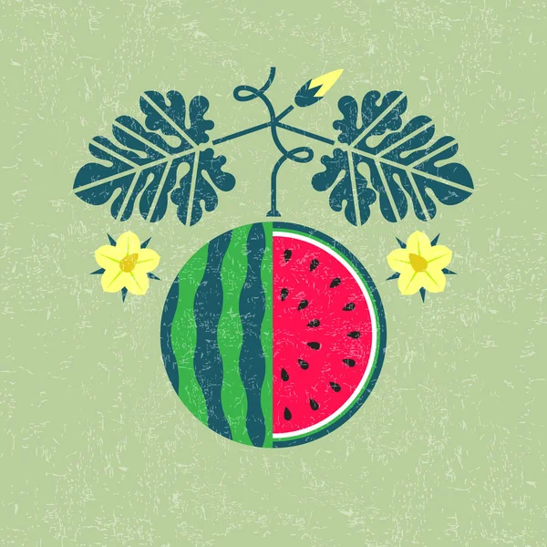 Abbildung Einer Reifen Wassermelone Wassermelone Mit Blättern Und Blüten Auf — Stockvektor