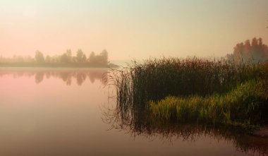 Göl sisli sabahı. Sakin sonbahar manzara. Sonbahar ağaçlar ve su resim.