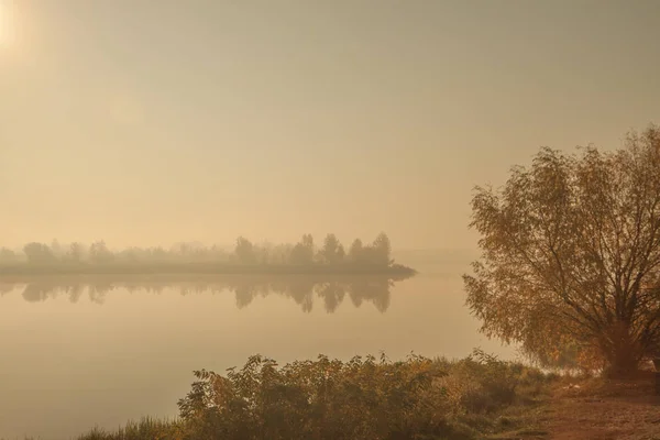 Misty Morning Lake Calm Autumn Landscape Autumn Trees Water Picture — Stock Photo, Image