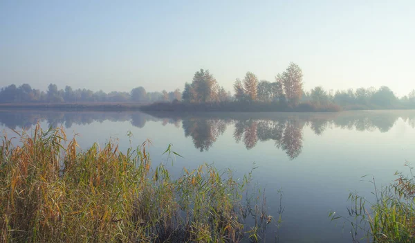 Misty Morning Lake Calm Autumn Landscape Autumn Trees Water Picture — Stock Photo, Image