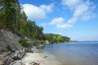 Dik kumlu plajı ve çam ormanları'nda deniz veya göl kıyısında. Bulutlar ve çam ormanı ile mavi gökyüzü.