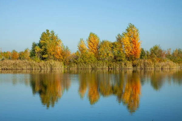 Beautiful Autumn Waterfront Landscape Trees Reflecting Smooth Water Surface Warm — Stock Photo, Image