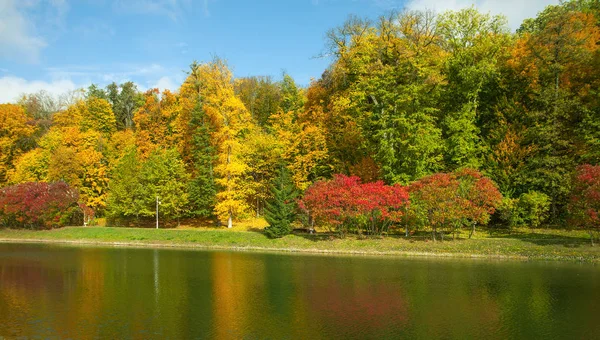 Mooie Herfst Bomen Struiken Het Park Kleurrijke Bomen Een Bank — Stockfoto