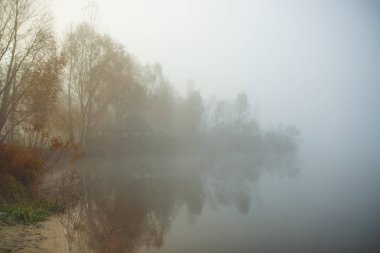 Göl sisli sabahı. Göl kenarında ormanda çardak veya av lodge. Ağaç ve ot suya yakın. Sakin sonbahar manzara.