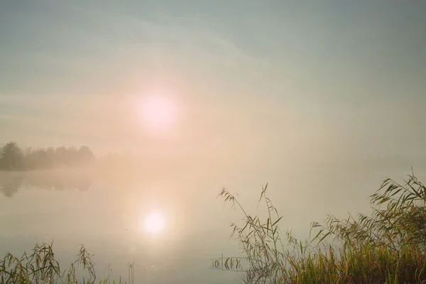 Misty Morning Lake Sun Fog Very Early Morning Calm Autumn — Stock Photo, Image