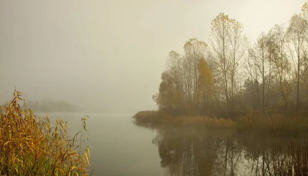 Quiet Misty Early Morning Forest Lake Trees Reflected Calm Water — Stock Photo, Image