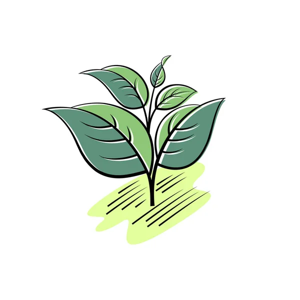 緑色の葉のイラスト 葉と茎は白い背景に 色の線形イラストレーション オリジナルシンプルフラットイラスト — ストックベクタ