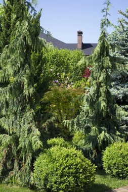 Bitkilerle çevrili parkta bina. Ağaçlar, çalılar ve çimler ile Bahar güzel park. Bitki arka planında.