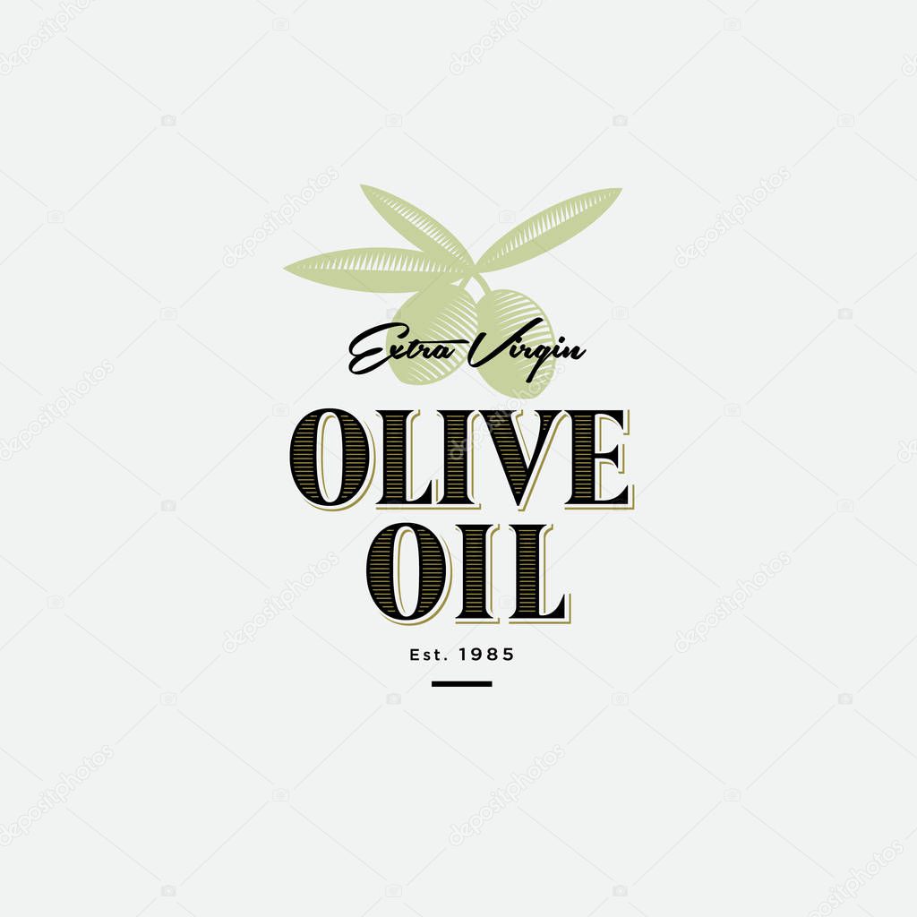 Olive Oil Logo and Label. Olives with leaves illustration at engraving style. Vintage style for food or product design.
