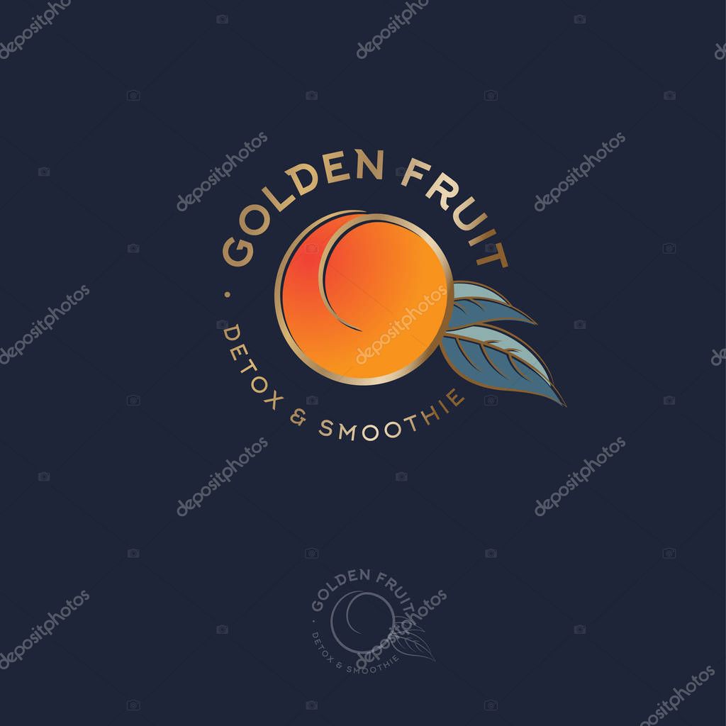 Golden Fruit Logo and Label. Apricot or Peach Fruit with Leaves on a Circle. Emblem for Juice, Detox and Smoothie.