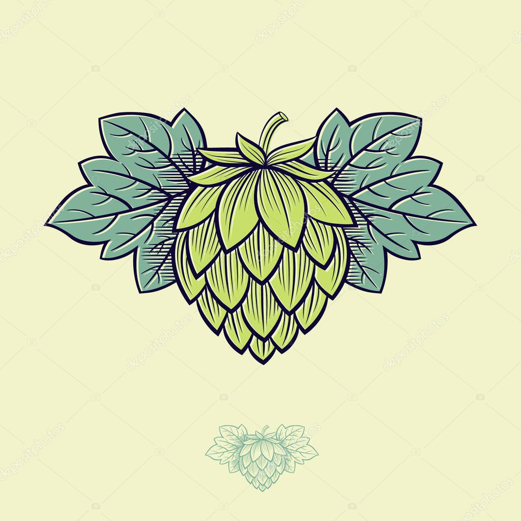 Green Hop Cone. Hop cone logo. Beer Cone Hop and Leaves Illustration. Engraving Style. Monochrome option.