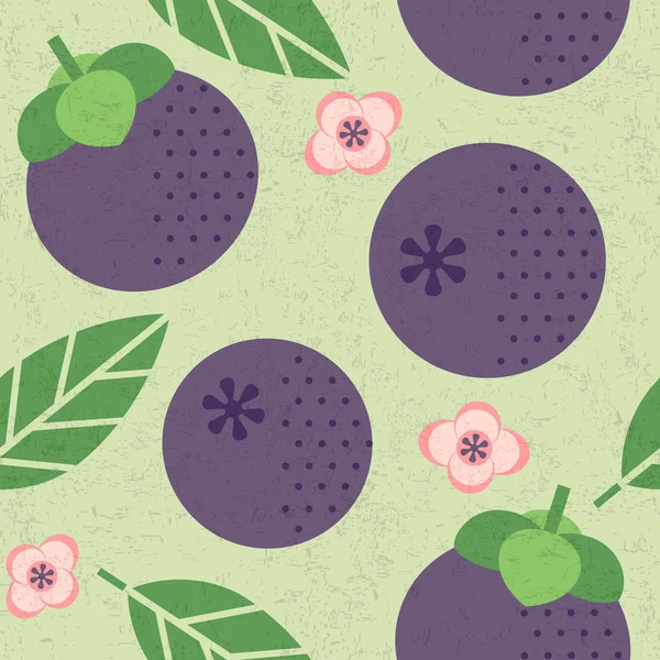 Modèle Fruits Mangoustan Fruits Juteux Feuilles Fleurs Sur Fond Minable — Image vectorielle