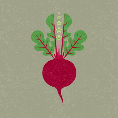 Pancar illüstrasyon. Kırmızı pancar, yapraklar ve çiçekler eski arka plan üzerinde. Olgun sebzeler.