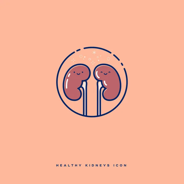 Healthy Kidneys Icon Circle Cute Cartoon Kidneys Stars Confetti Kawaii — Stock Vector