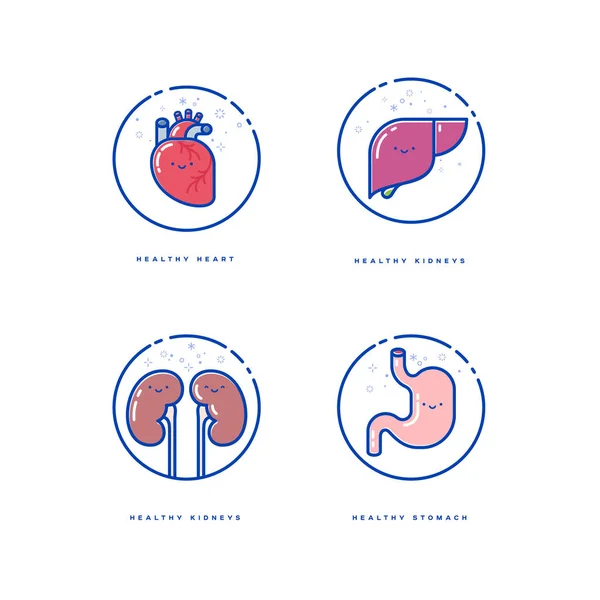 Hälsoorgan Lyckliga Mänskliga Organ Hjärtat Lever Njurar Och Mage Kavaii — Stock vektor