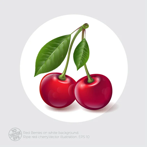 Cseresznyés Illusztráció Két Érett Piros Bogyó Levelekkel Fehér Körön Illusztráció — Stock Vector
