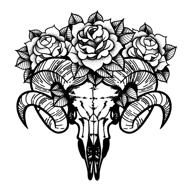 Rose tattoo met schedel van een vectorillustratie schapen geïsoleerd. — Stockvector