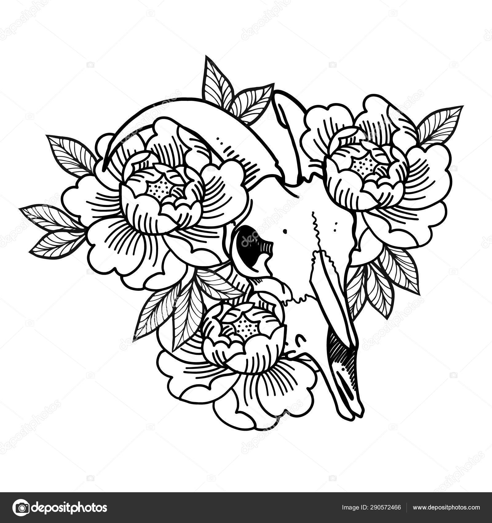 Ink hand drawn vector sketch. Grazing domestic animal sheep livestock with  heather branch, flowers leaves and buds, nature. Design for tourism,  travel, brochure, wedding, guide, print, card, tattoo. 24151444 Vector Art  at