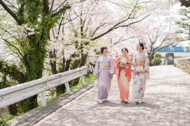 Three women in traditional Japanese clothing walk down a brick road. The women are holding hands and appear to be enjoying their time together. The scene is peaceful and serene