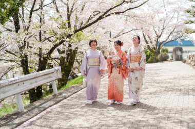 Three women in traditional Japanese clothing walk down a path under cherry blossoms. One of the women is holding a baby