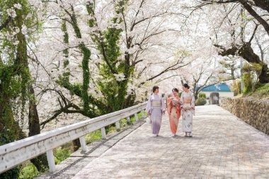 Three women in traditional Japanese clothing walk down a path lined with cherry blossoms. The scene is serene and peaceful, with the women enjoying the beauty of the flowers