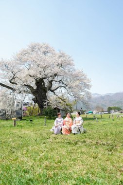 Three women are sitting in a grassy field under a large tree, enjoying the peaceful and serene atmosphere. The tree is surrounded by a fence, and there are several other trees in the background