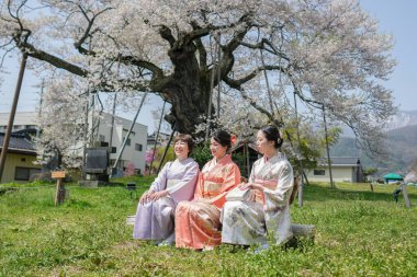Three women in traditional Japanese clothing sit on a bench in a grassy field. The women are smiling and seem to be enjoying their time together. The setting is peaceful and serene
