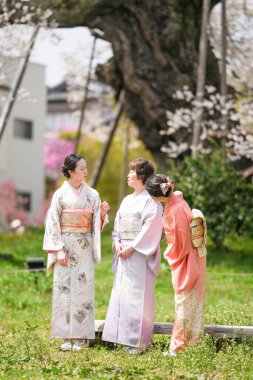 Three women in traditional Japanese clothing are standing in a grassy field. They are smiling and seem to be enjoying each other's company. The scene has a peaceful and friendly atmosphere