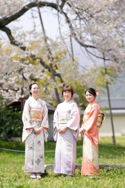 Three women in traditional Japanese clothing stand in a field of cherry blossoms. The women are smiling and posing for a photo. The scene is peaceful and serene