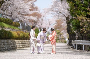 Three women in traditional Japanese clothing are walking down a path. One of the women is holding a baby. The scene is peaceful and serene, with cherry blossoms in the background