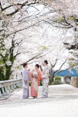 Three women in traditional Japanese clothing stand in front of cherry blossoms. The women are smiling and seem to be enjoying the beautiful scenery