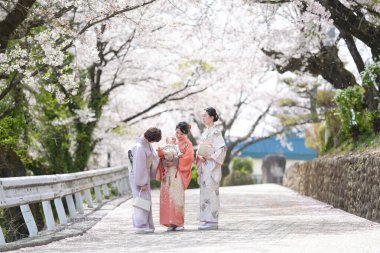Three women in traditional Japanese clothing are standing on a road near cherry blossoms. They are smiling and seem to be enjoying each other's company. The scene has a peaceful and serene atmosphere