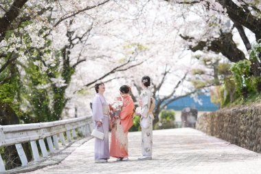 Three women in traditional Japanese clothing are standing on a road, surrounded by cherry blossoms. Scene is peaceful and serene, as the women seem to be enjoying the beauty of the flowers