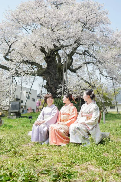 Three women in traditional Japanese clothing sit under a cherry blossom tree. Scene is peaceful and serene, as the women enjoy the beauty of the tree and the surrounding nature