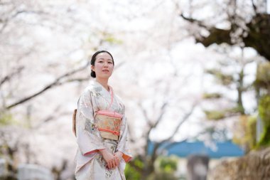 A woman in a kimono stands in front of cherry blossoms. She is smiling and she is enjoying the beautiful scenery