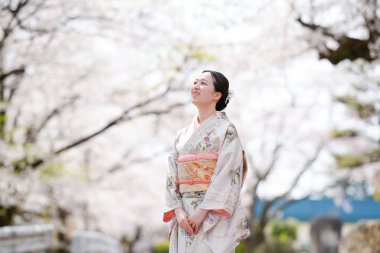A woman in a kimono stands in front of cherry blossoms. She is smiling and she is enjoying the beautiful scenery