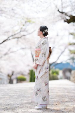 A woman in a kimono stands in front of a tree with pink blossoms. The scene is serene and peaceful, with the woman looking up at the sky