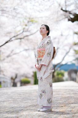 A woman in a kimono stands in front of cherry blossoms. Concept of serenity and beauty, as the woman poses in front of the delicate pink flowers