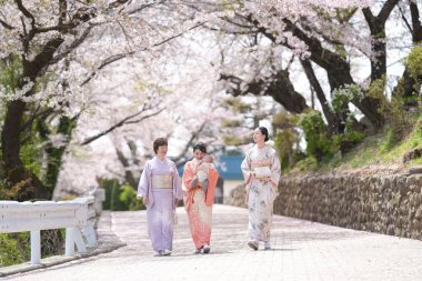 Three women in traditional Japanese clothing walk down a road lined with cherry blossoms. The women are carrying a baby and a handbag. The scene is peaceful and serene