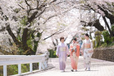 Three women in traditional Japanese clothing walk down a road lined with cherry blossoms. The scene is serene and peaceful, with the women enjoying the beauty of the flowers