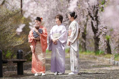 Three women in traditional Japanese clothing stand in a park, one of them holding a baby. The scene is peaceful and serene, with the women and the baby surrounded by cherry blossoms