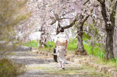 A woman in a kimono walks down a path in a park. The trees are in full bloom, and the woman is carrying a backpack. The scene is peaceful and serene, with the woman enjoying the beauty of nature