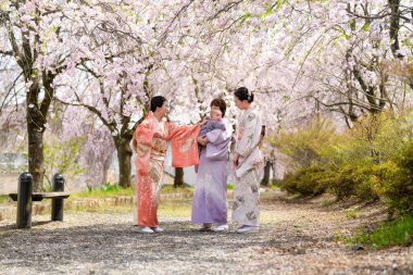 Geleneksel Japon elbiseli üç kadın kiraz çiçeklerinin altında bir parkta duruyorlar. Gülümsüyorlar ve birbirlerinin arkadaşlığından zevk alıyor gibiler.