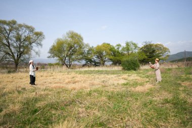 İki kadın tarlada frizbiyle oynuyor. Gökyüzü açık ve güneş parlıyor.